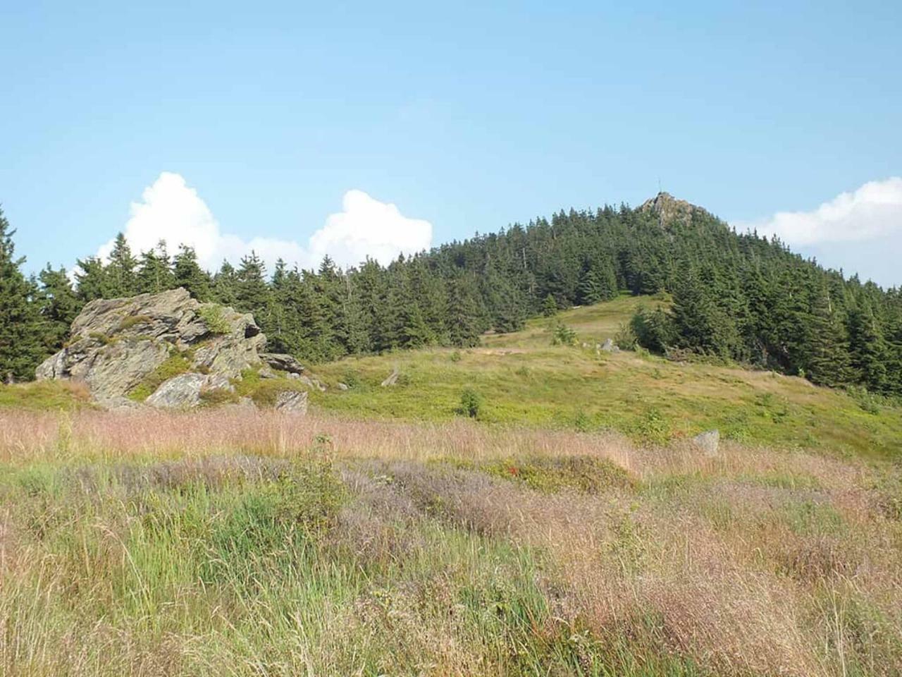 Gaestehaus Schmalzreich Lam Dış mekan fotoğraf