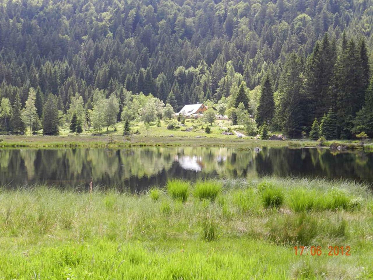 Gaestehaus Schmalzreich Lam Dış mekan fotoğraf