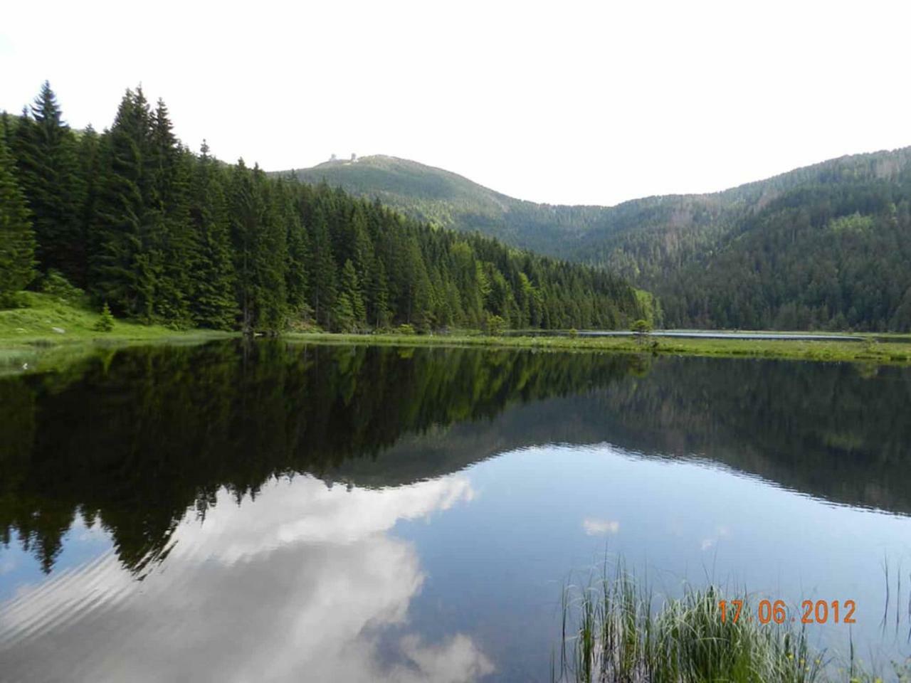 Gaestehaus Schmalzreich Lam Dış mekan fotoğraf